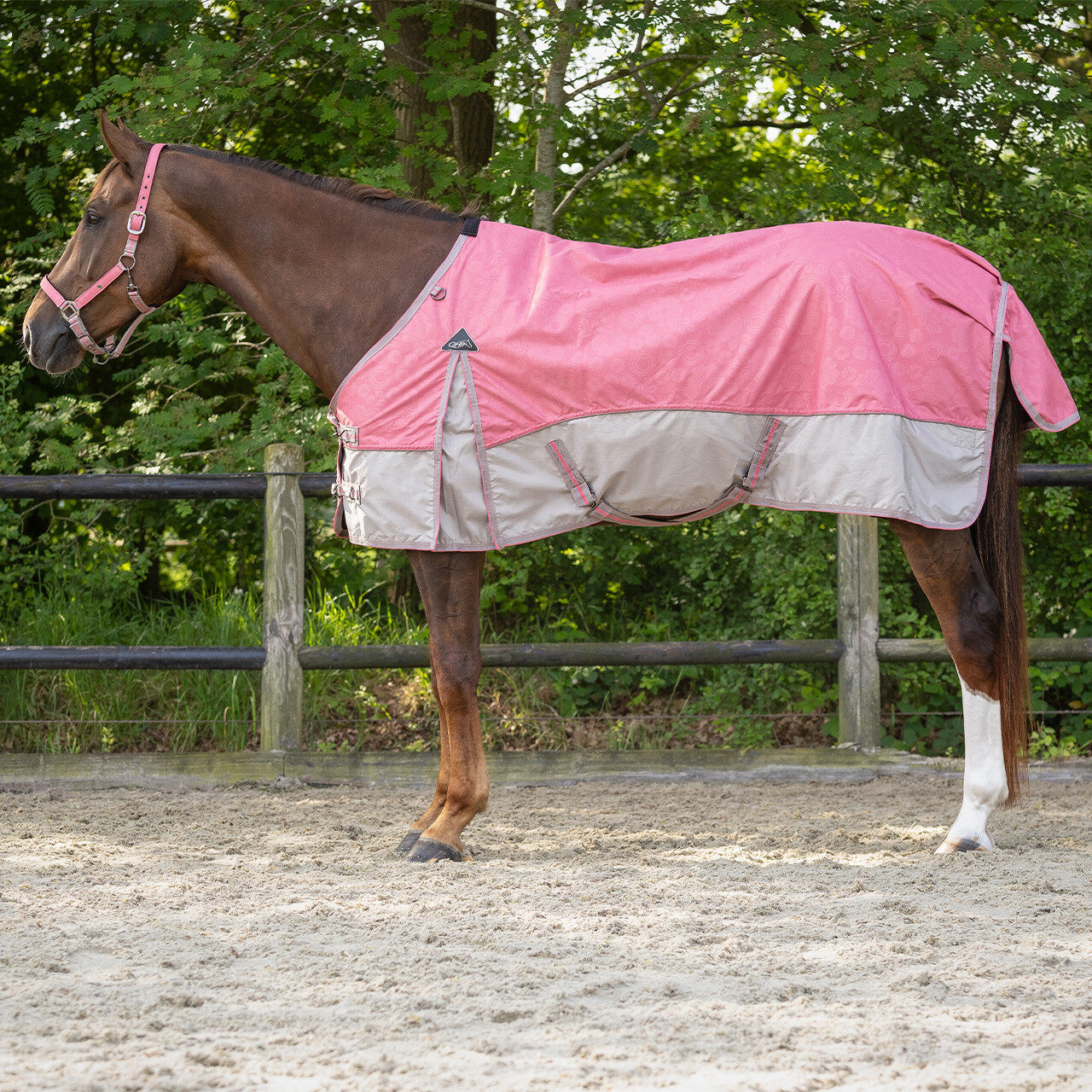 Turnout Rug Collection 0gr - Flamingo