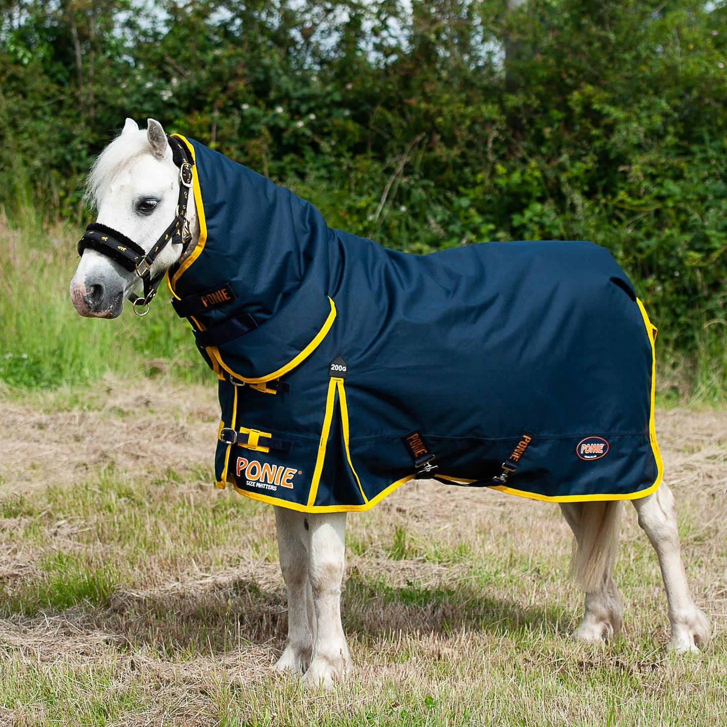 Ponie 200g Turnout Combo