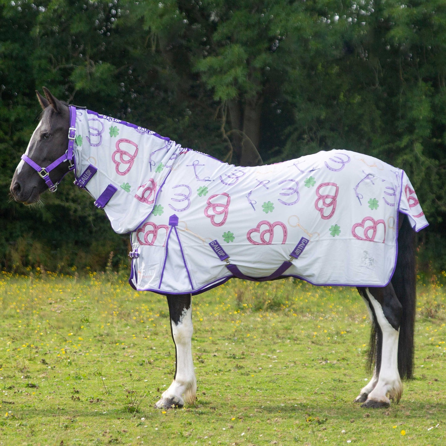 TROJAN Bits of Luck Combo Fly Rug