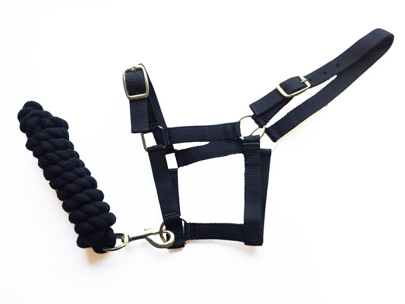 Harlequin Headcollar And Rope Set