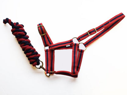 Harlequin Headcollar And Rope Set