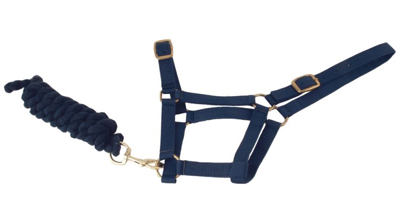 Harlequin Headcollar And Rope Set