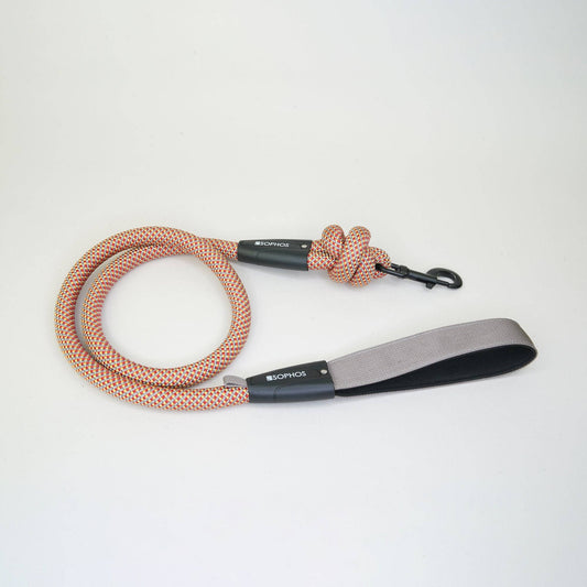 Rope Dog Lead Multicoloured
