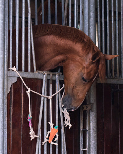 Horse Toy Box Hanger