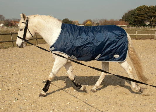 Horse Walker/Lunge Rug