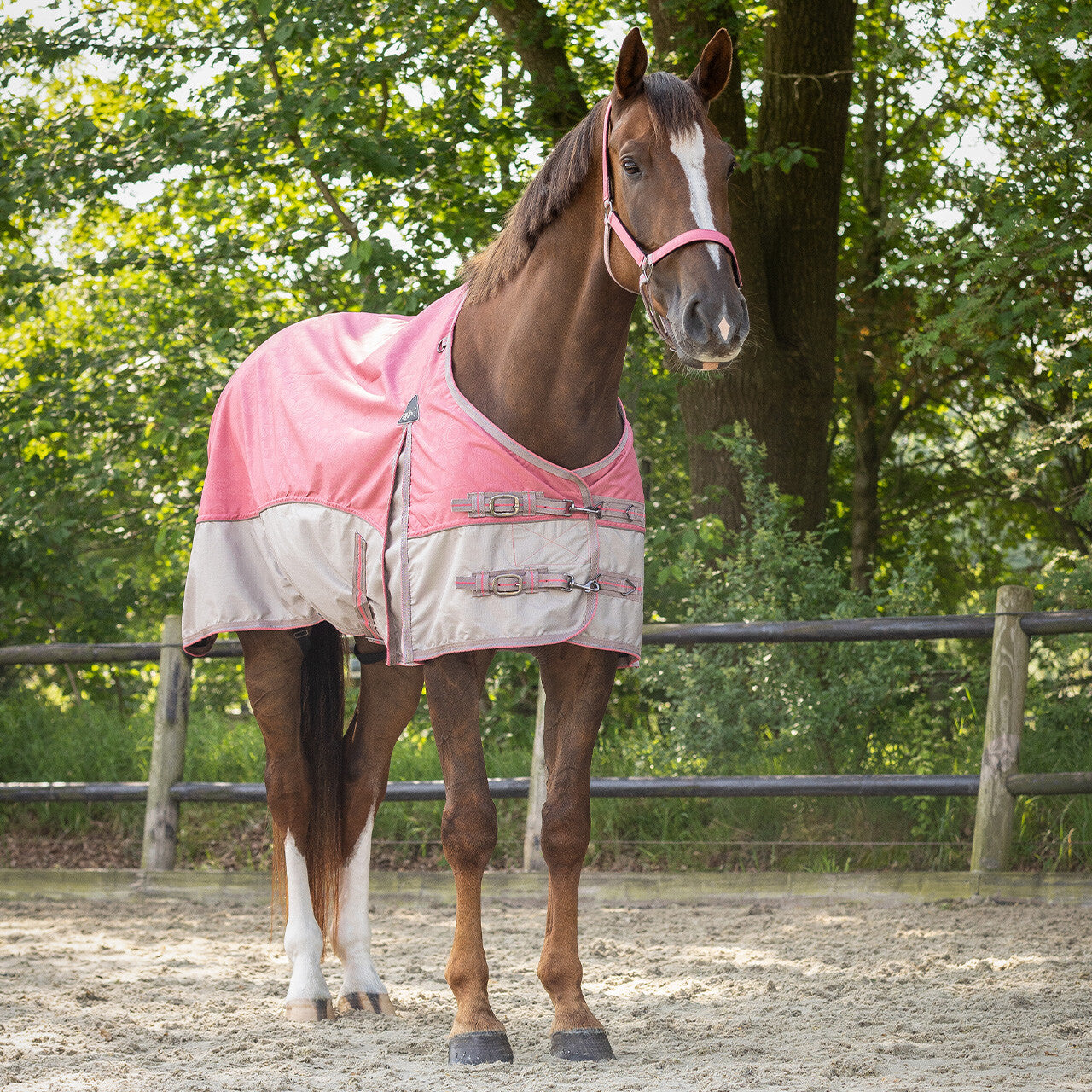 Turnout Rug Collection 0gr - Flamingo