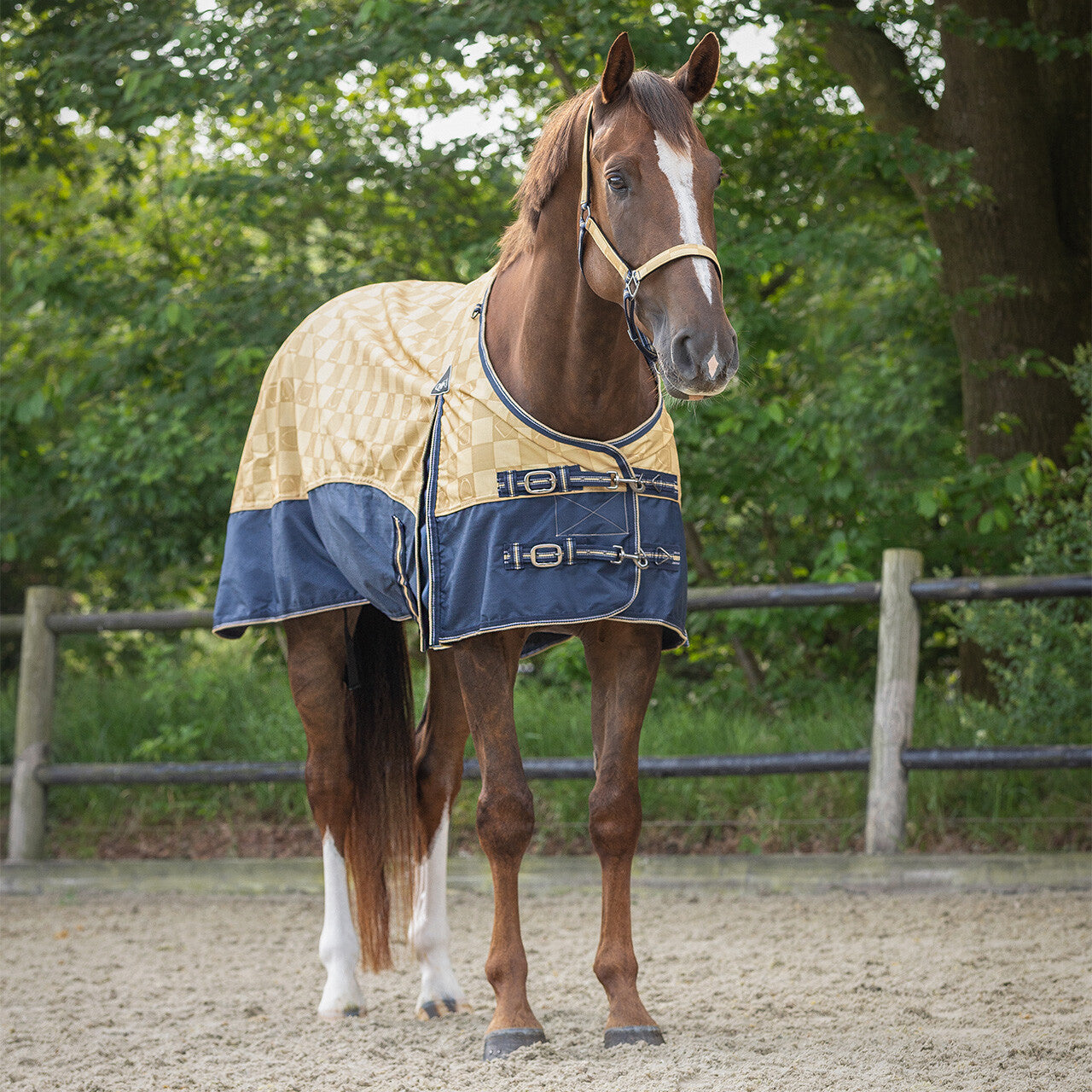 Turnout Rug Collection 0gr