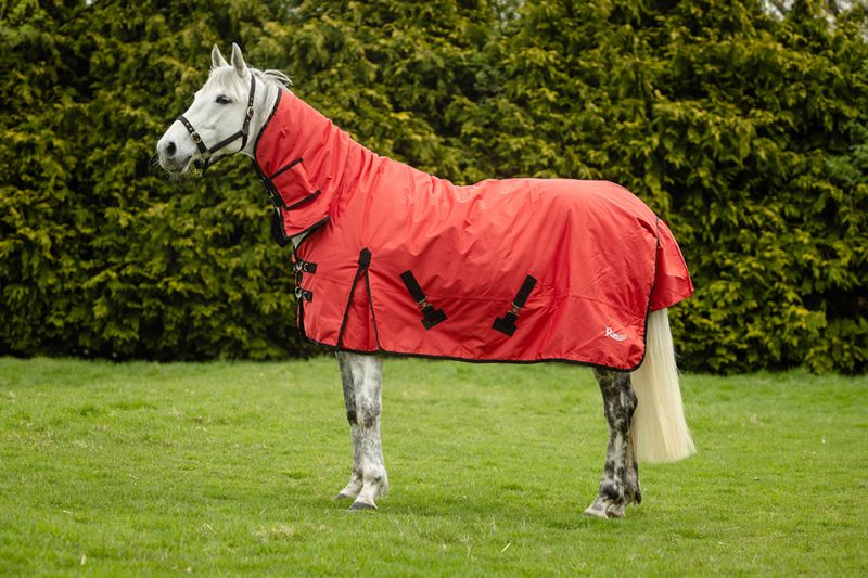 Konig Full Neck Combo Outdoor Rug - Red