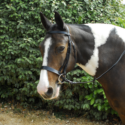 Hunter Bridle With Wide Cavesson Noseband - Black