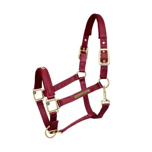 Kieffer Satin Shine Headcollar -  Burgandy