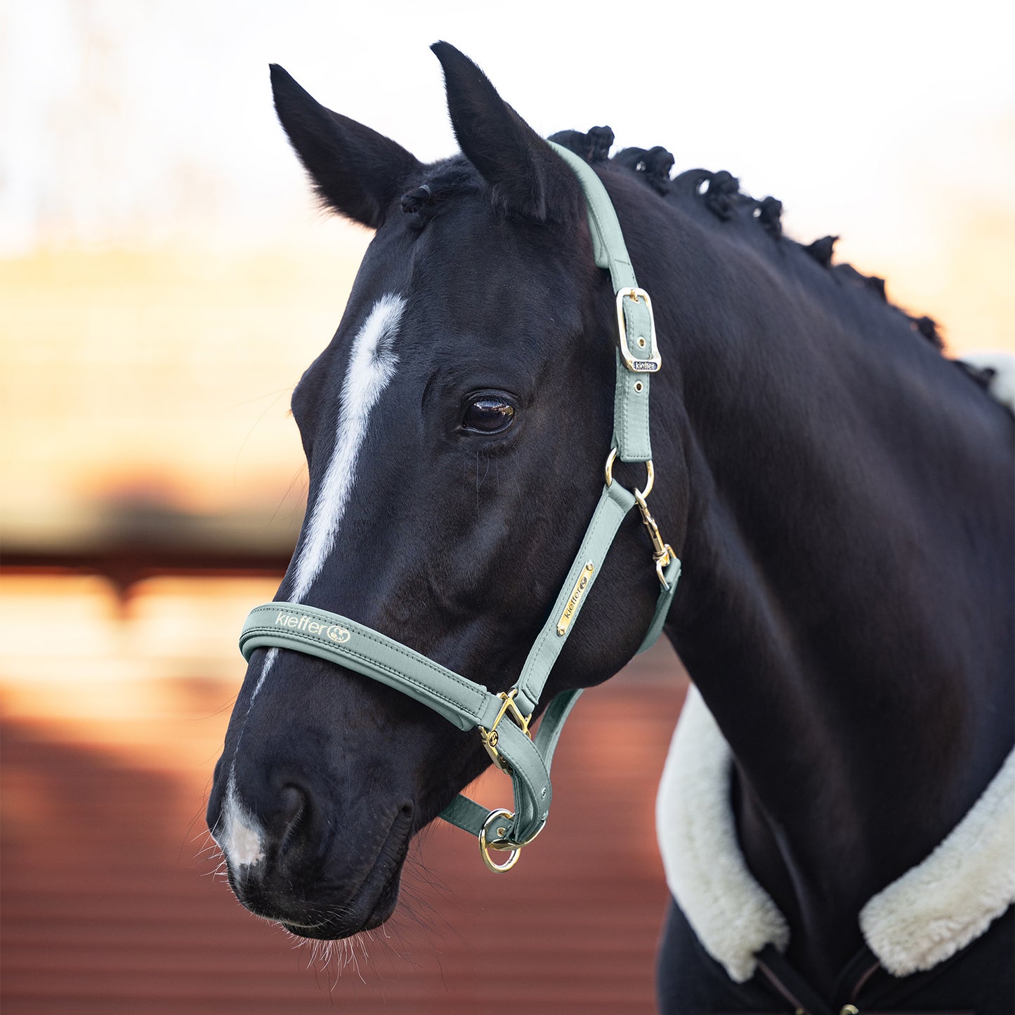 Kieffer Satin Shine Headcollar - Mint