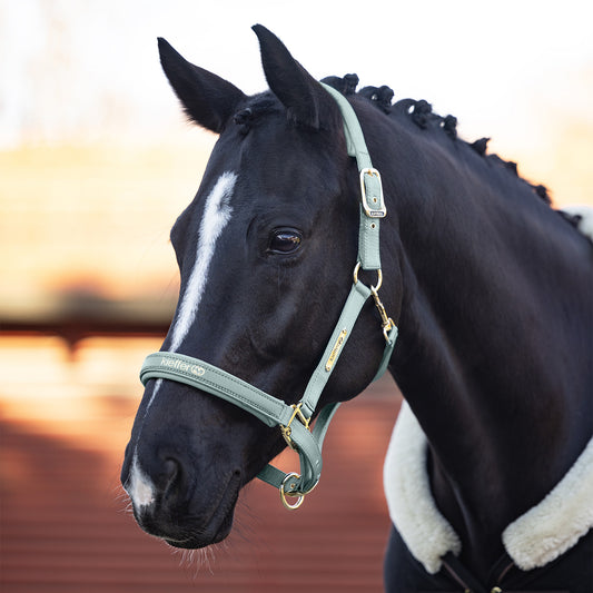 Kieffer Satin Shine Headcollar - Mint