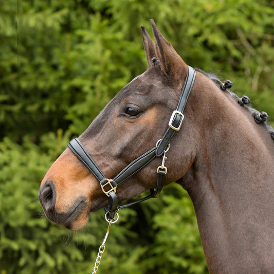 Kieffer Ultrasoft® Headcollar