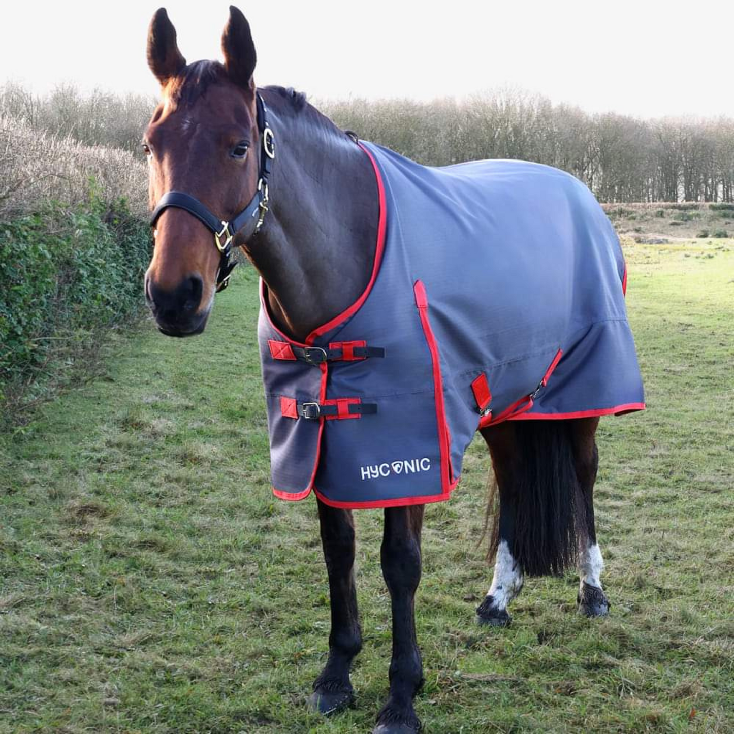 HyCONIC 0g Turnout Rug