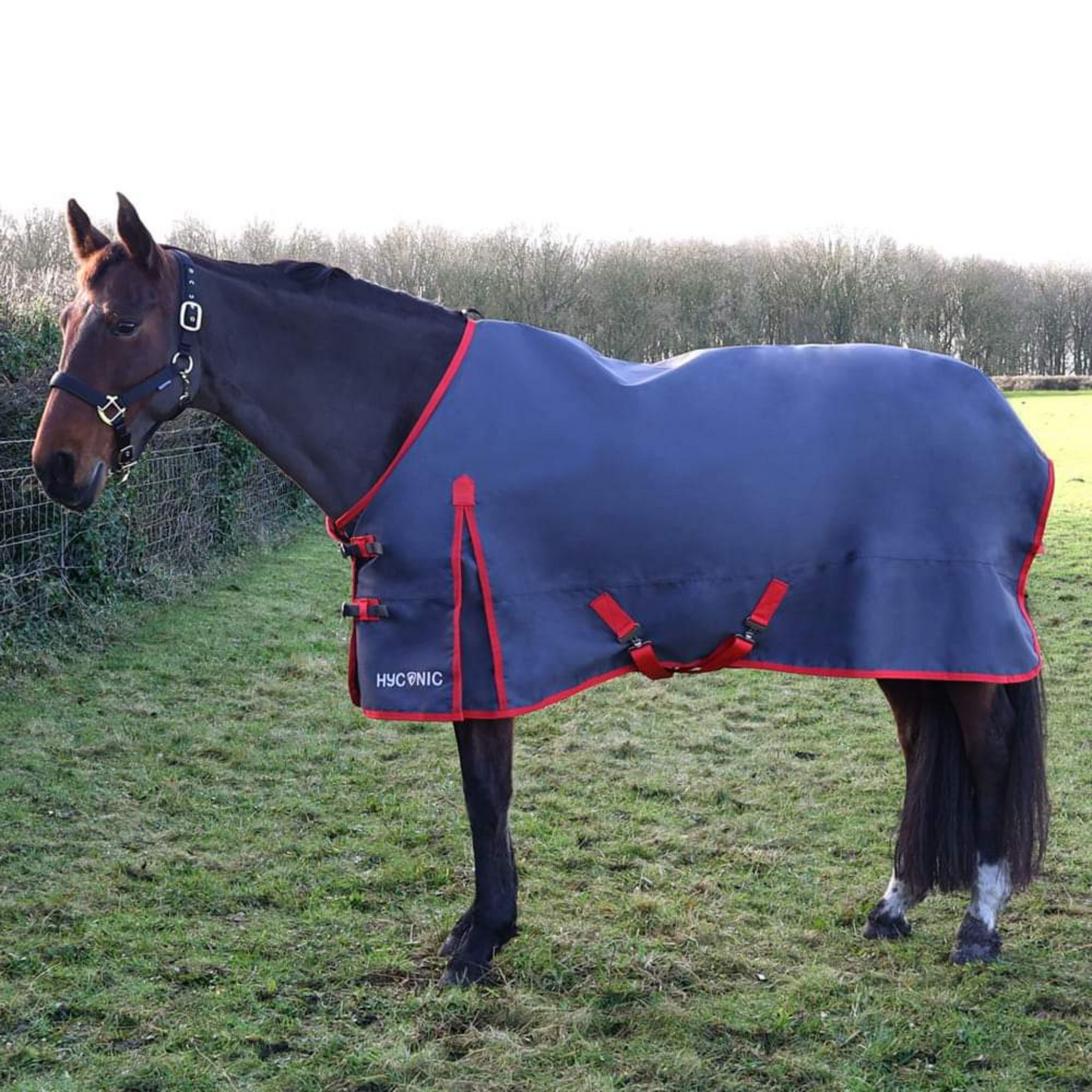 HyCONIC 0g Turnout Rug