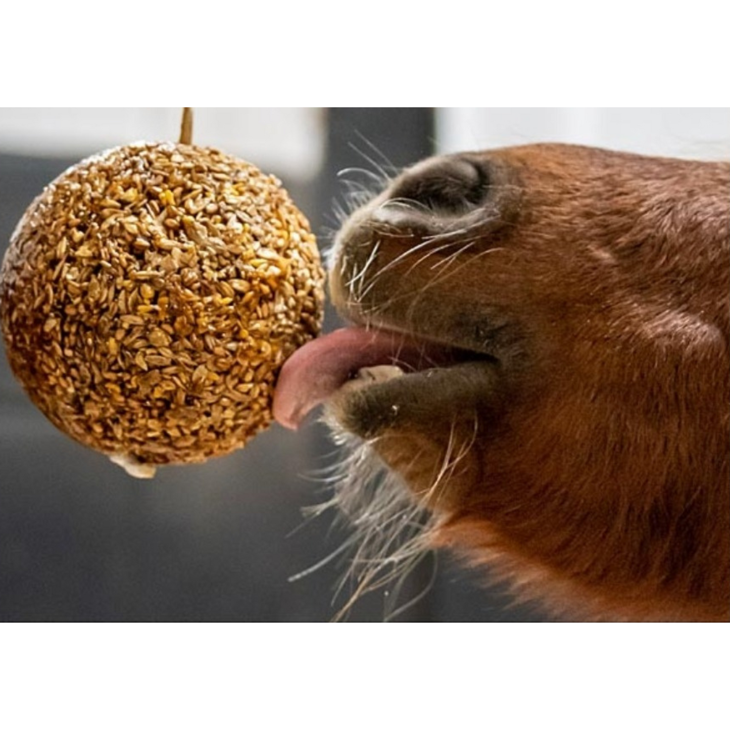 Likit Stall BALL