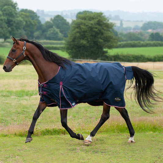 NEW TROJAN Duraproof 50g 5-Point Standard Neck Turnout